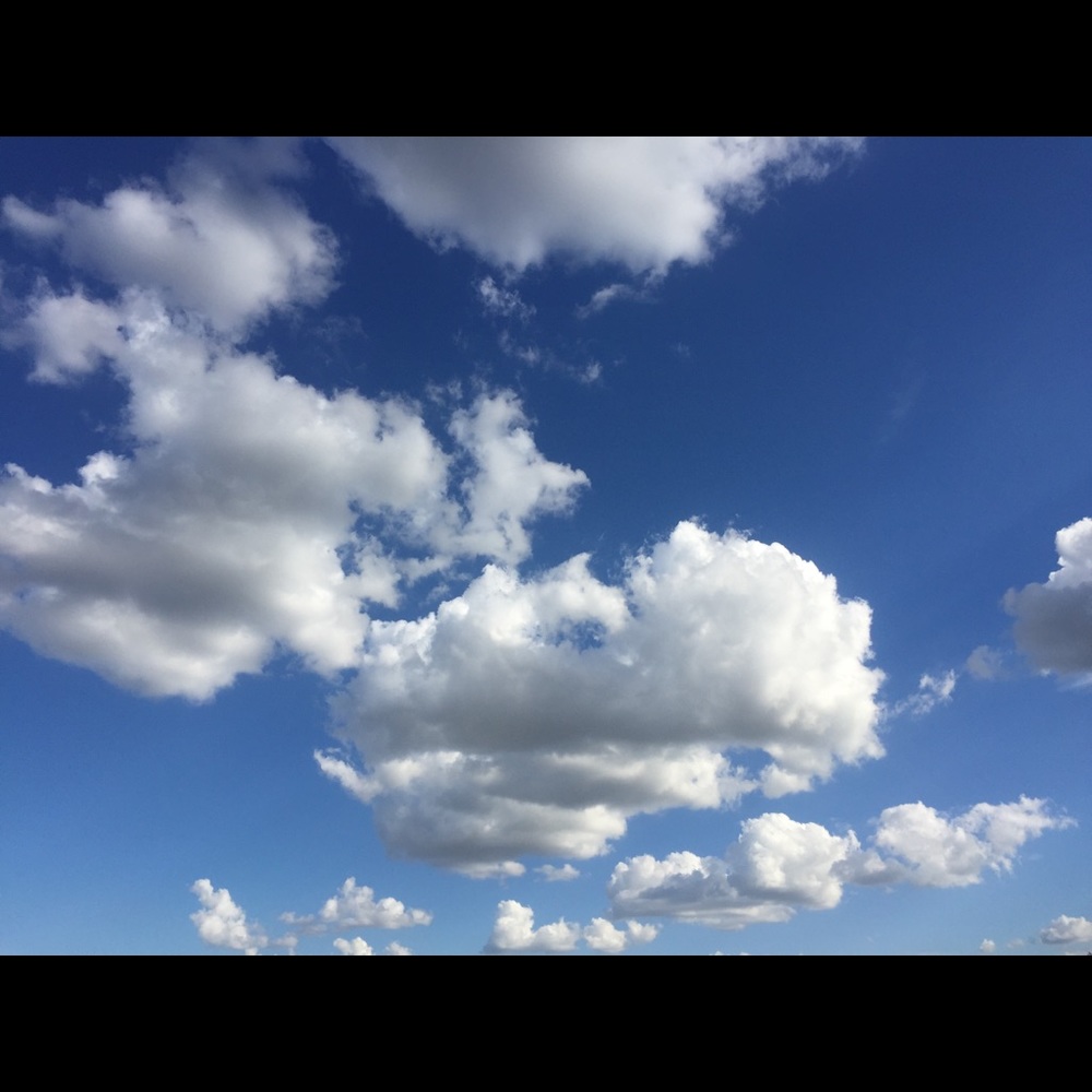 Meet your Posher, Chanel